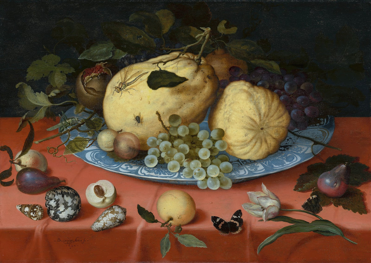 Fruit Still Life with Shells and Tulip 1620
