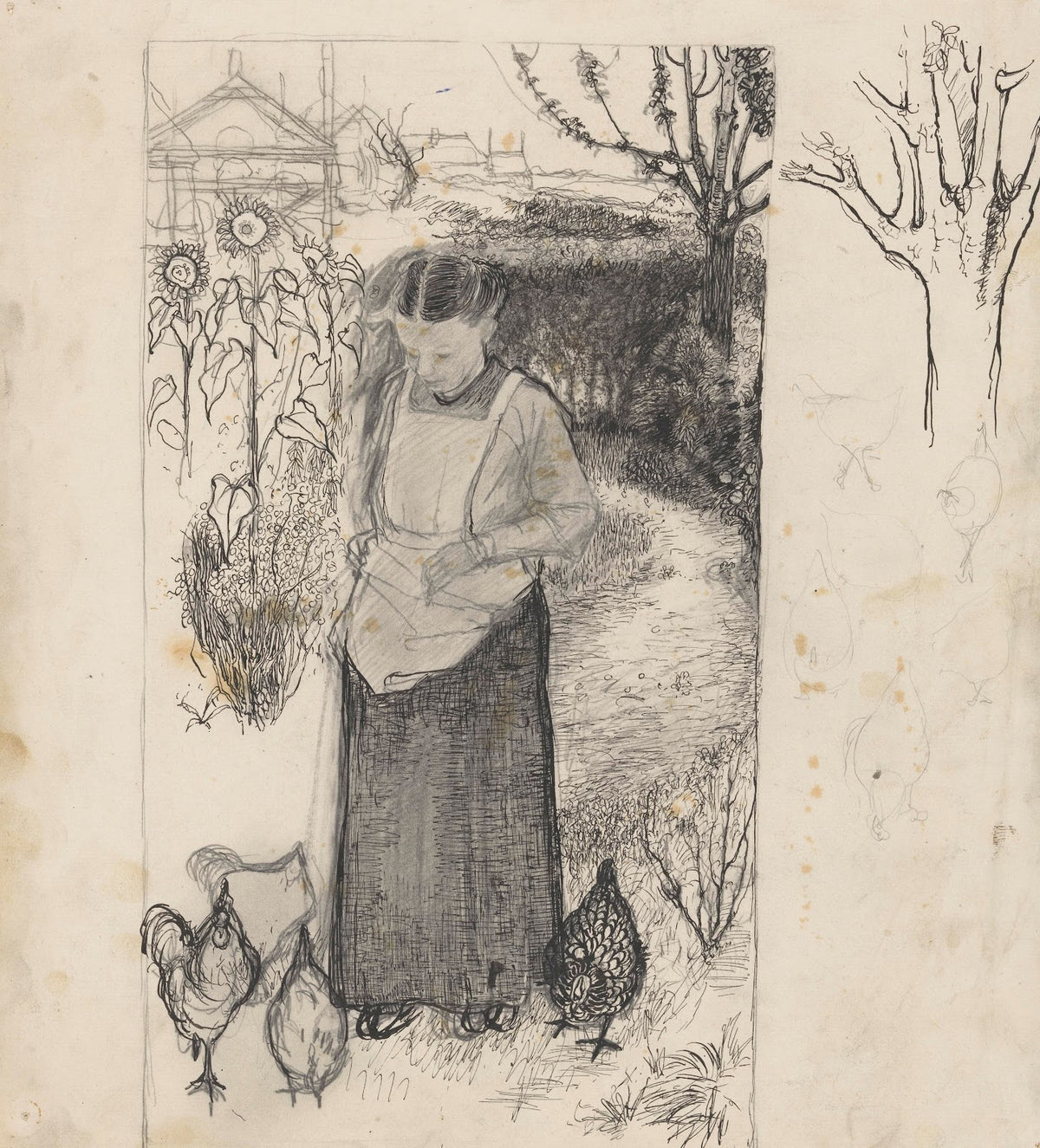 Annie Mankes Zernike kippen voerend rechts studies van een boom en van kippen 19