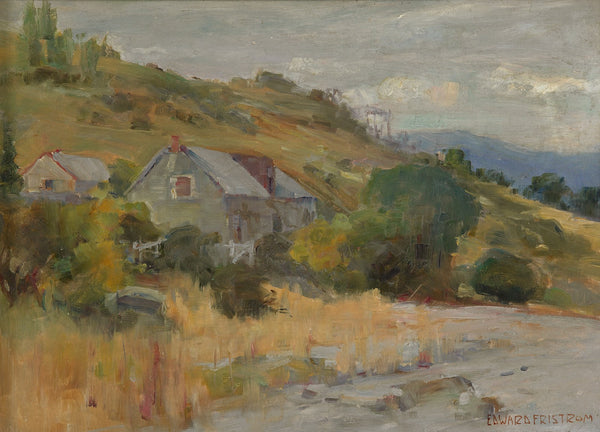 Homestead Lake Wakatipu Queenstown No1 circa 1905