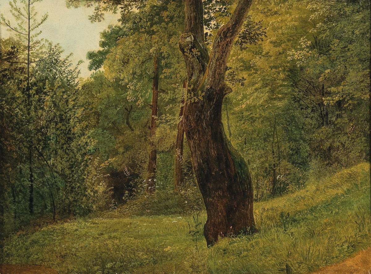 A Tree at the Edge of the Woods