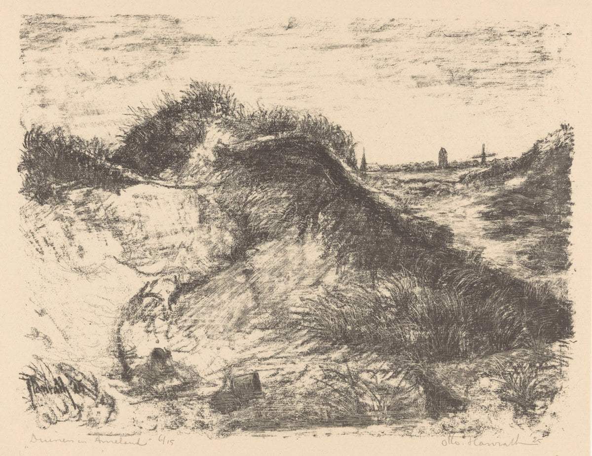 Duinen in Ameland 1925