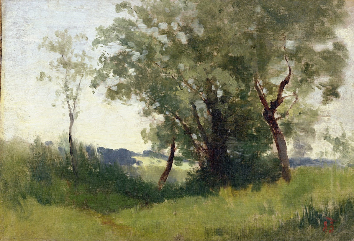 Hochmoor 1883