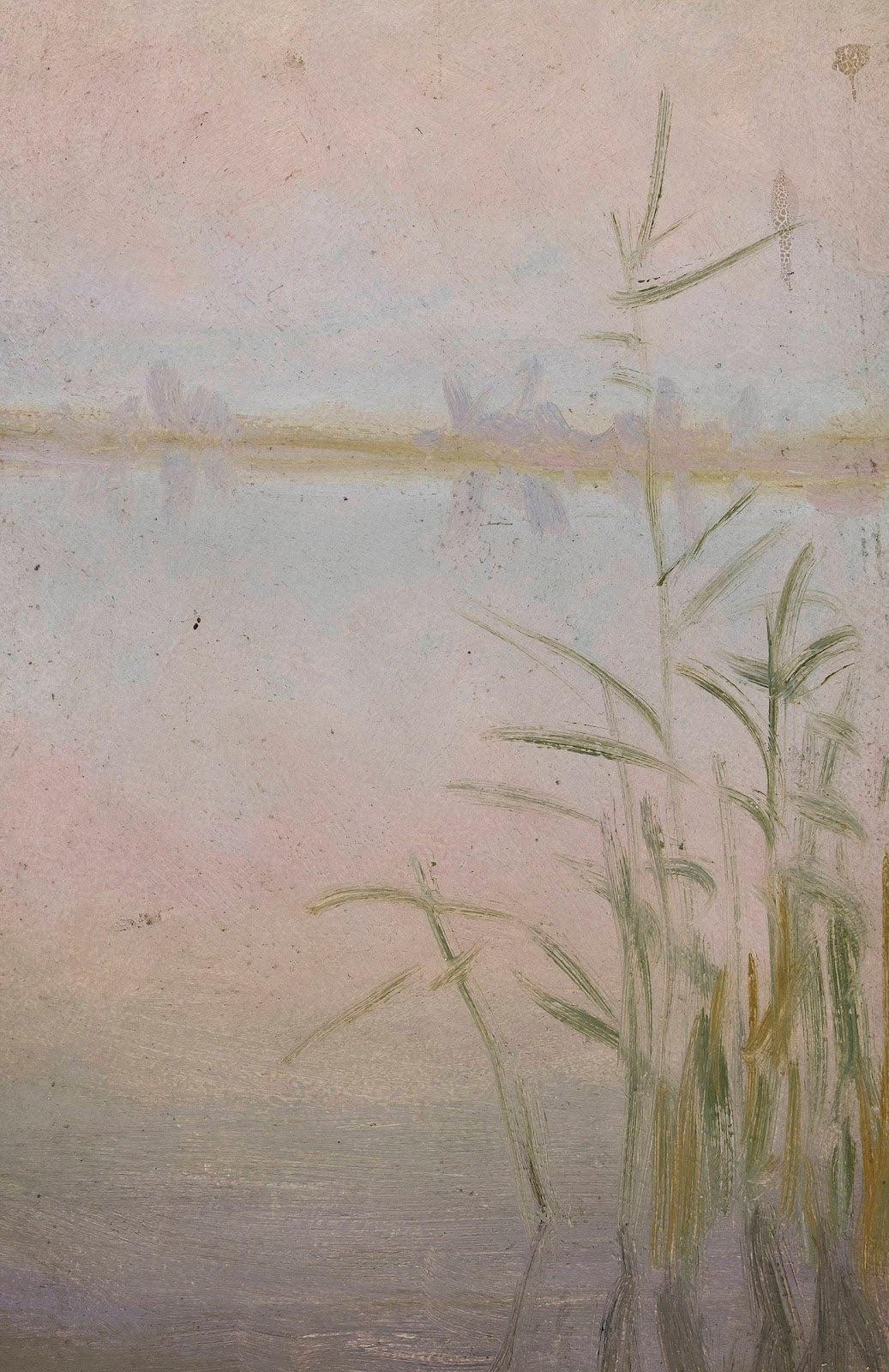 Reeds at the lake 1910