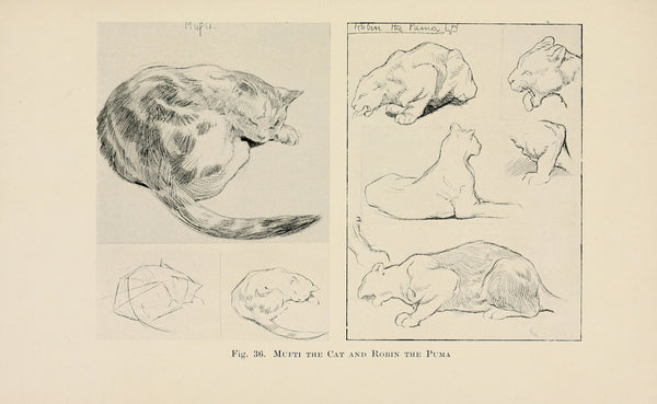 Drawing for beginners Pl16 1920s