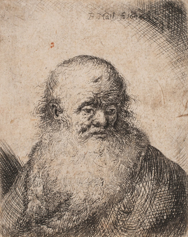 Gammel mand med stort skæg 1648