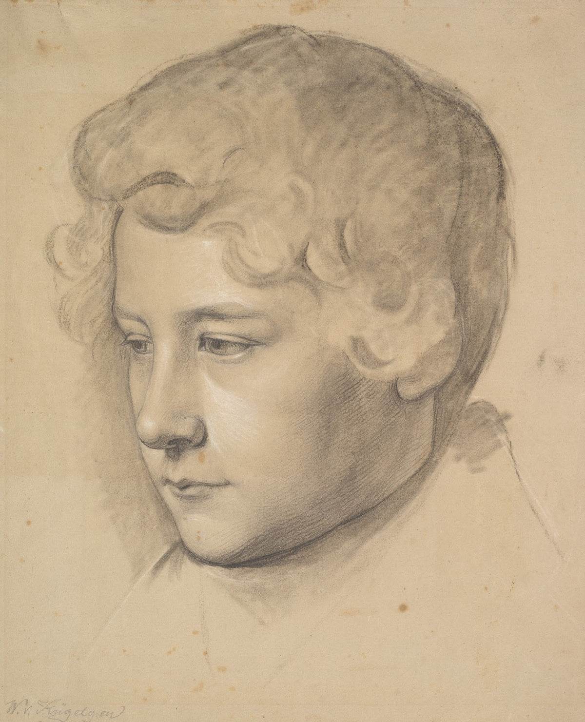 Portrait of a Young Man mid 19th century