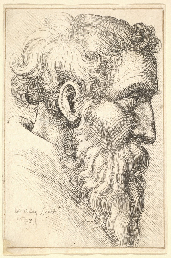 Bearded old man in profile to right 1645