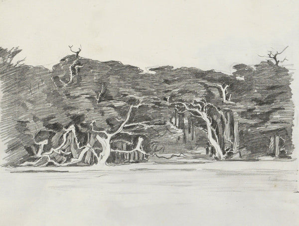 Kustgezicht met bomen mogelijk bij St Andrews te Canada 1915