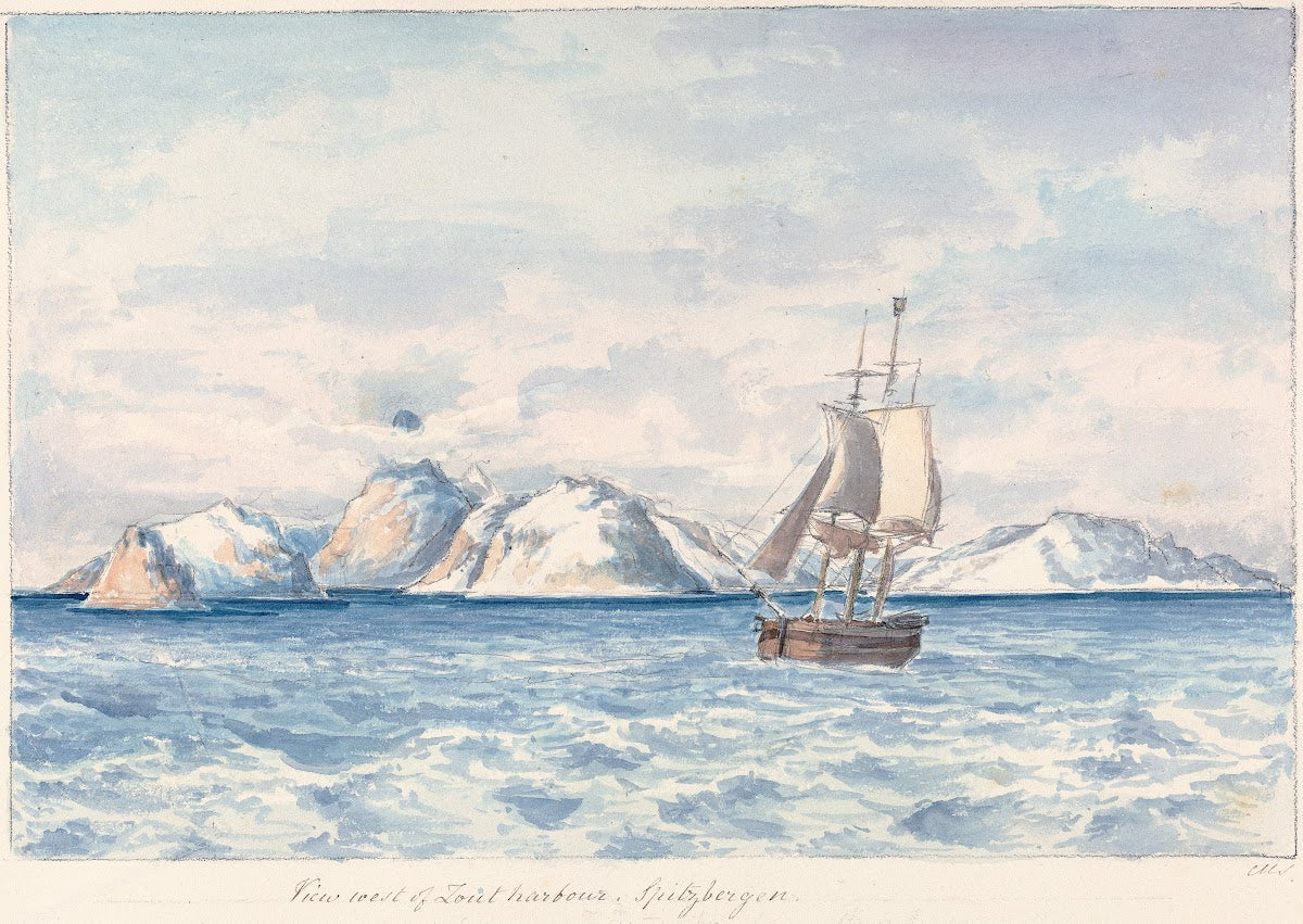 View West of Lout Harbour Spitzberger