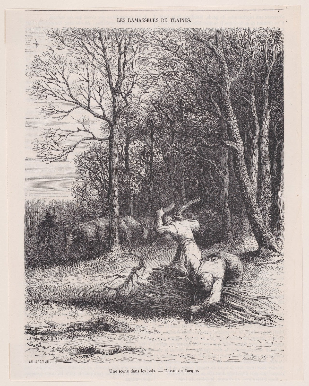 A Scene in the Woods 1852