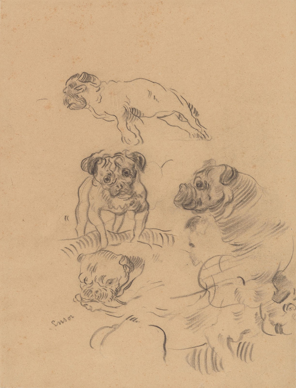 Etude de chiens 1890