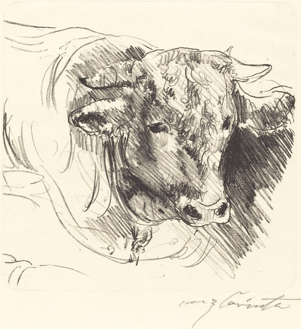 Head of a Steer Stierkopf 1912