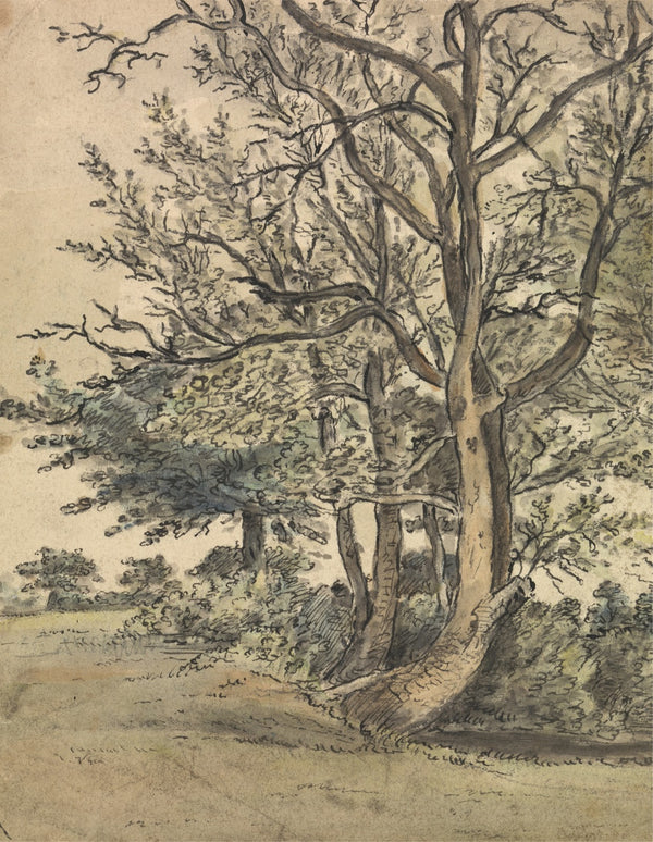 Part of Regents Park 1805