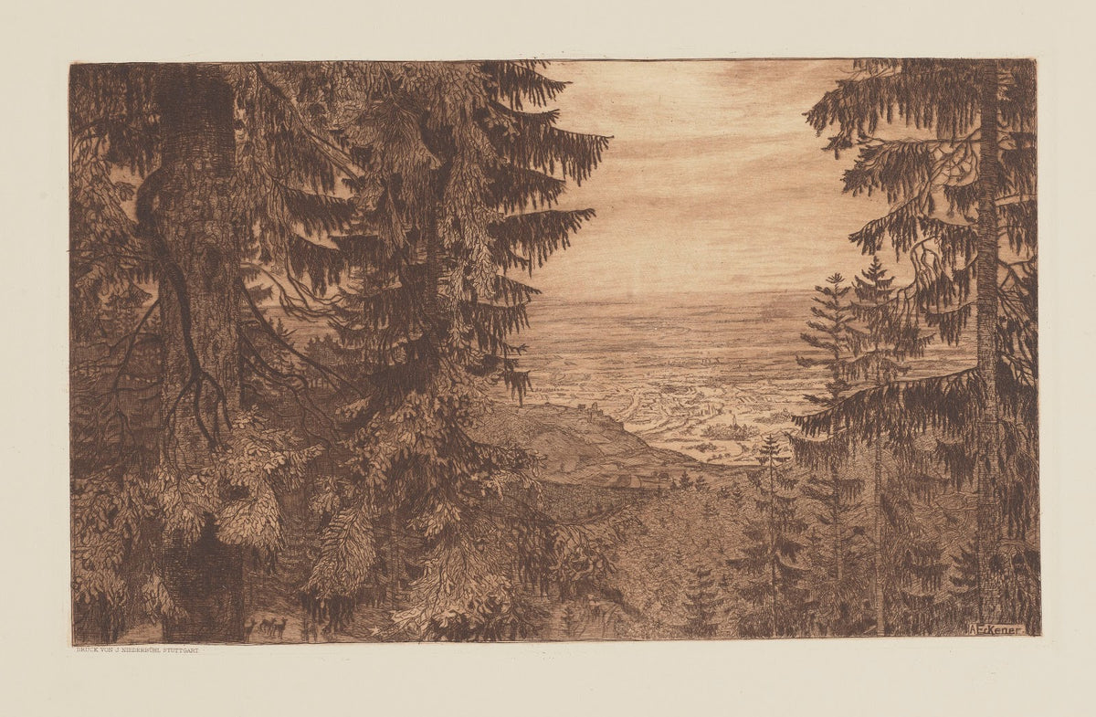Landscape On the Bottom Left aGroup of Roe Deers 1900 4008x2623 (1)