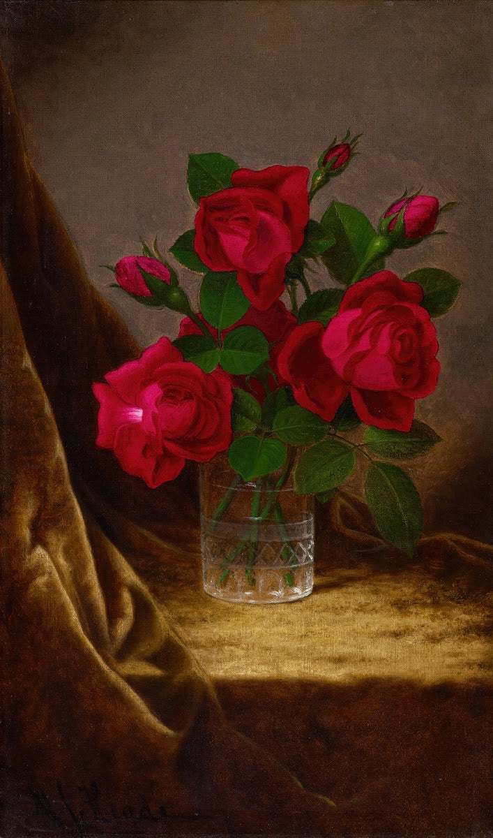 Jacqueminot Roses circa 1883 1890
