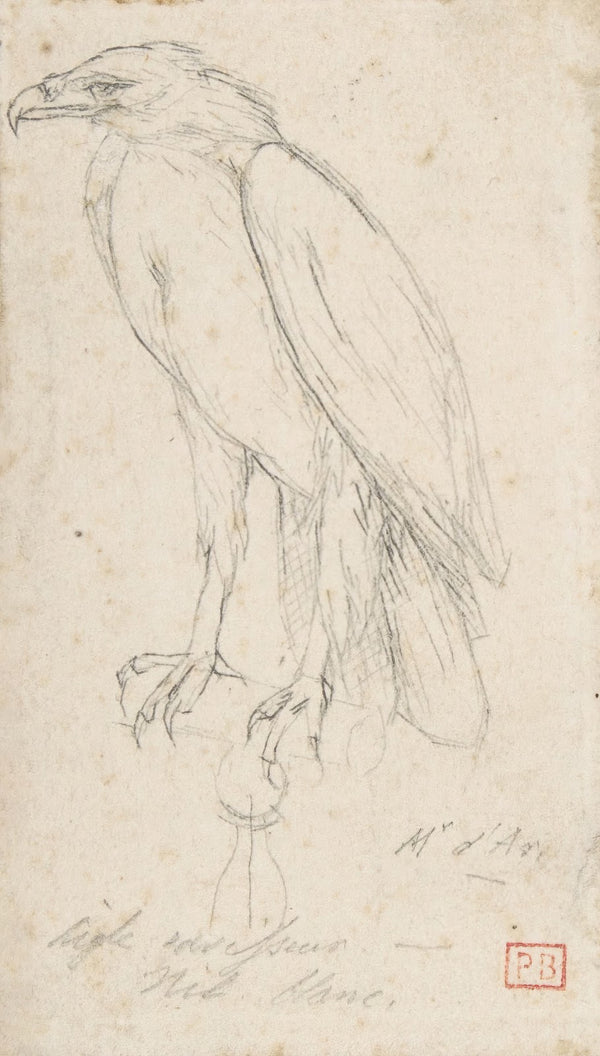 A Golden Eagle after 1859