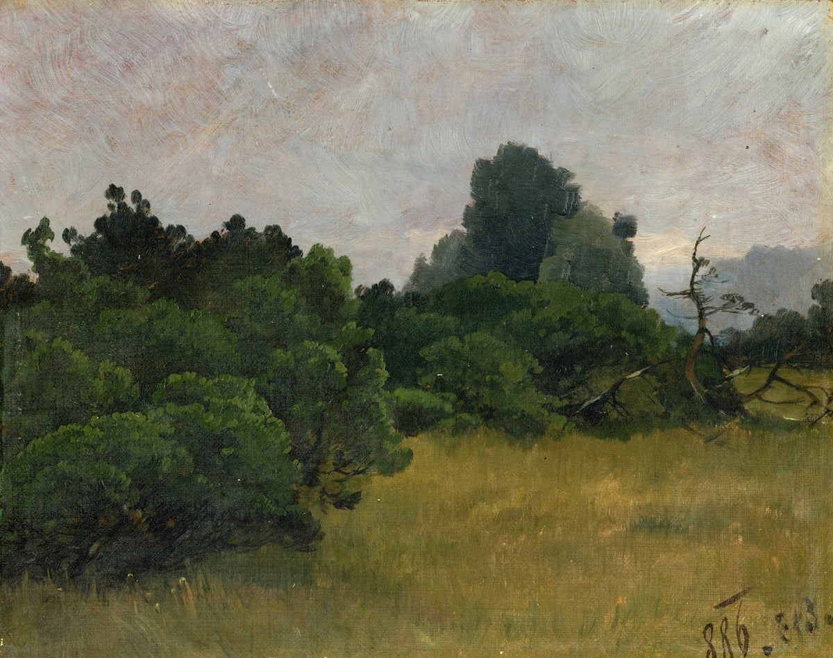 Baumgruppe Skizze 1886