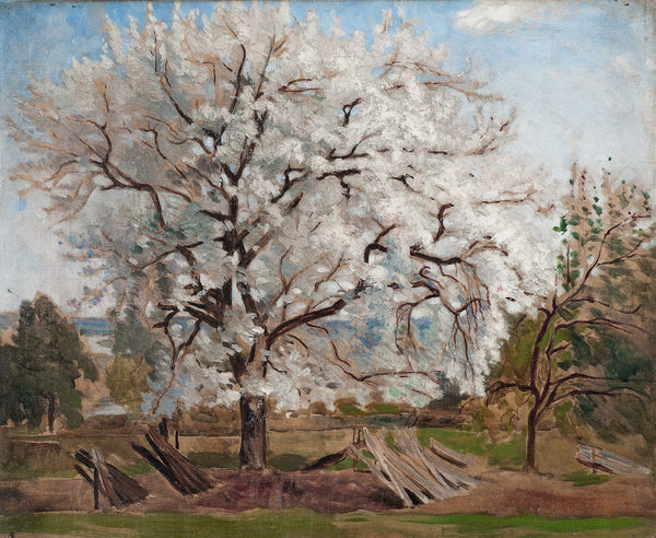 Apple Tree in Blossom 1877
