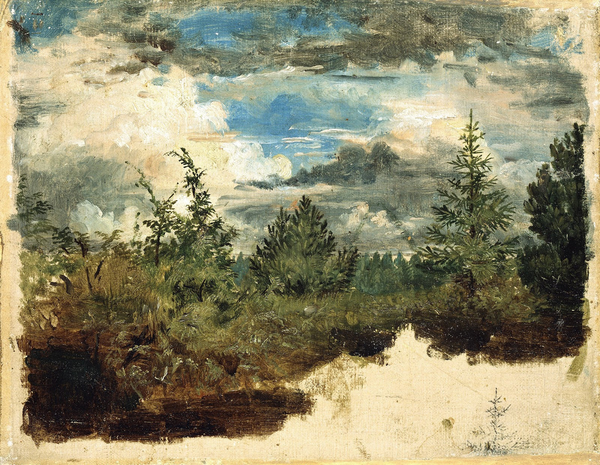 A Wooded Hillside Study