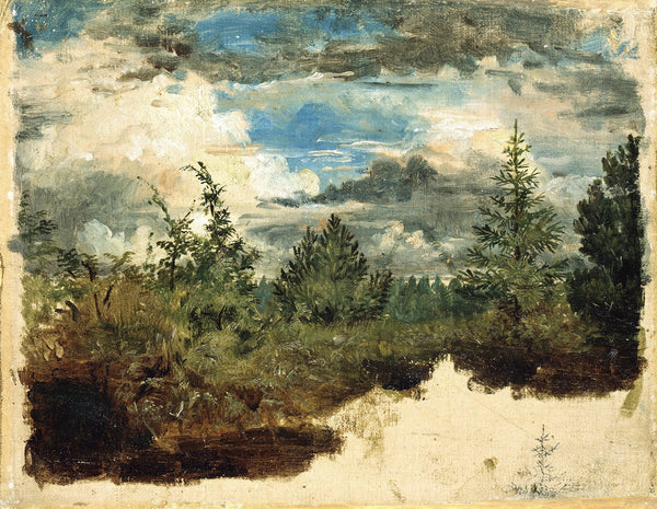 A Wooded Hillside Study