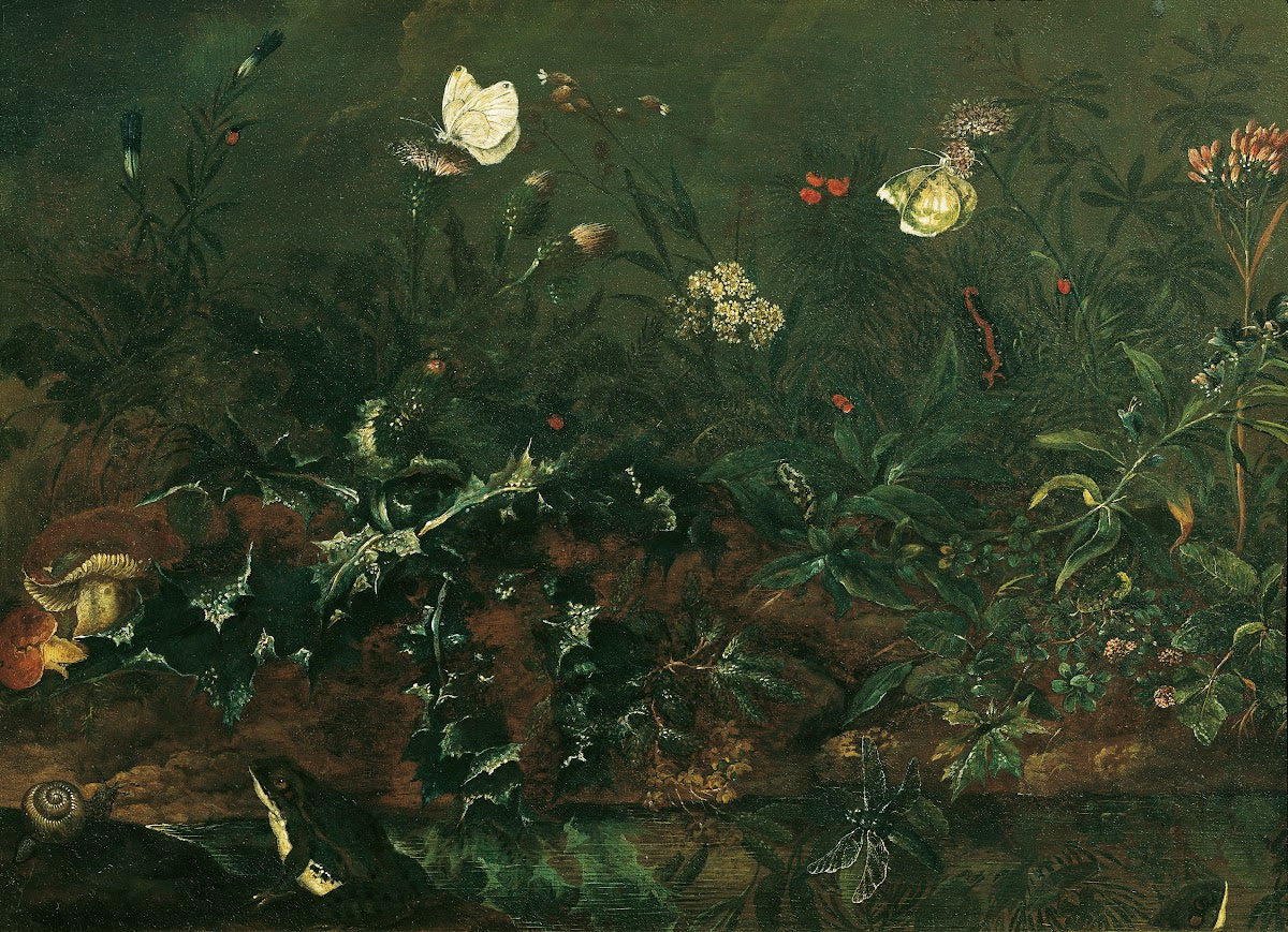 Rasenstück mit Distel Fröschen und Libelle 1738