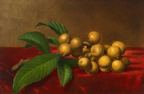 Loquats on Red Velvet