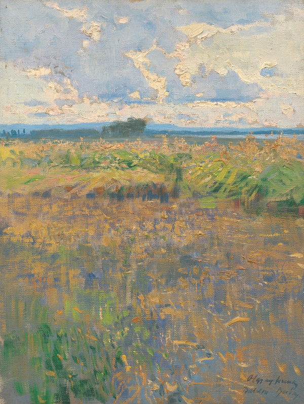 Letná krajina 1900