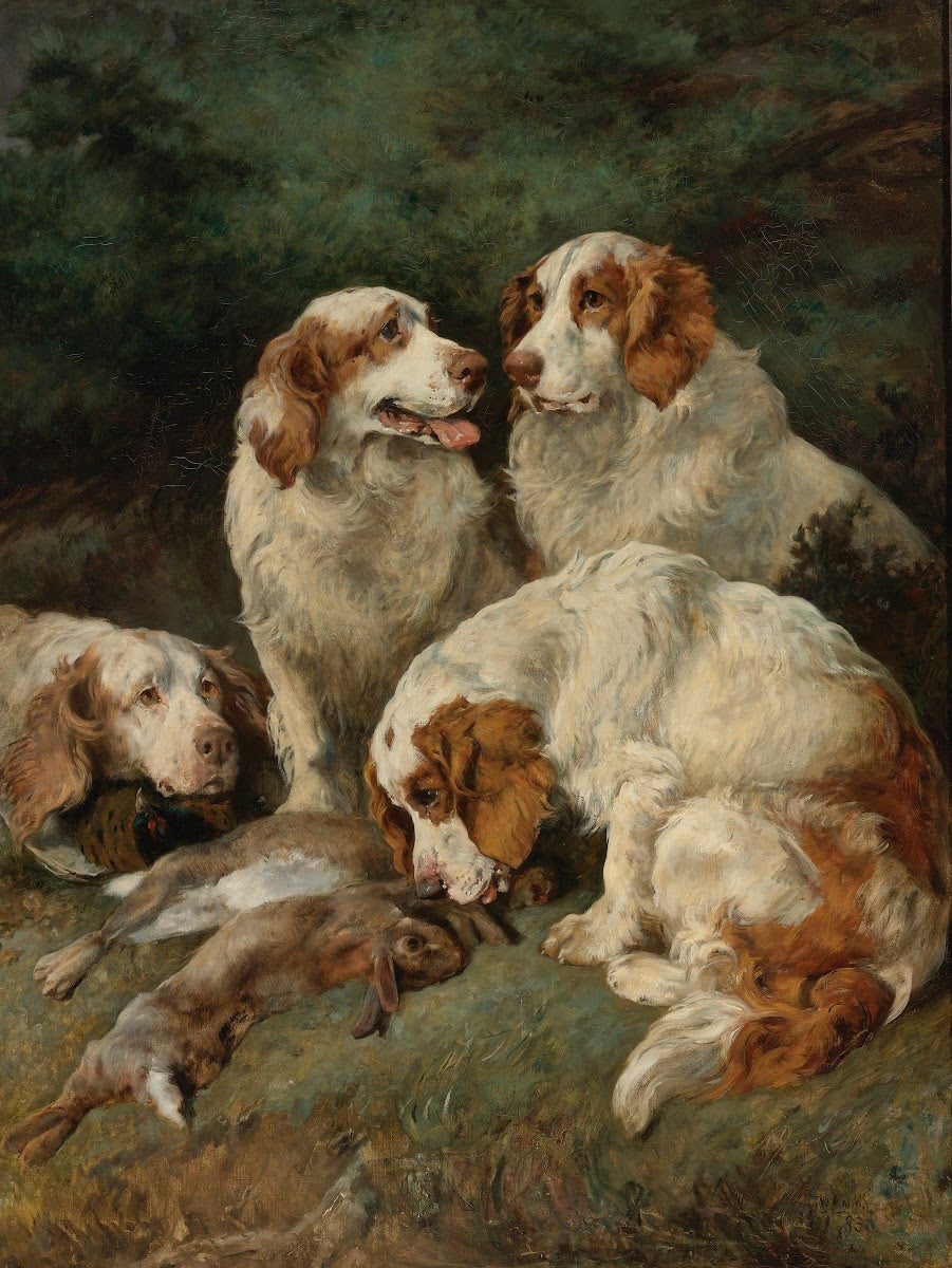 Clumber Spaniels With Thedays Bag 1883
