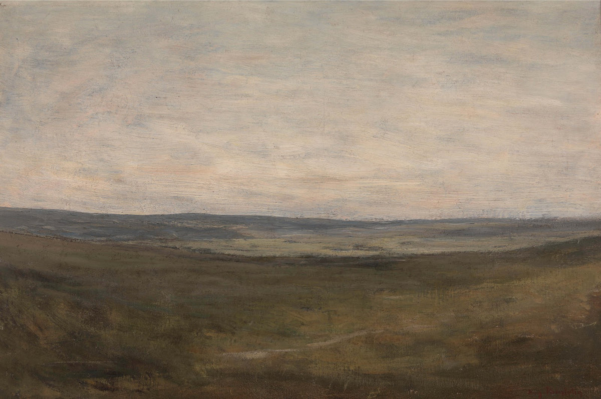 The Plains