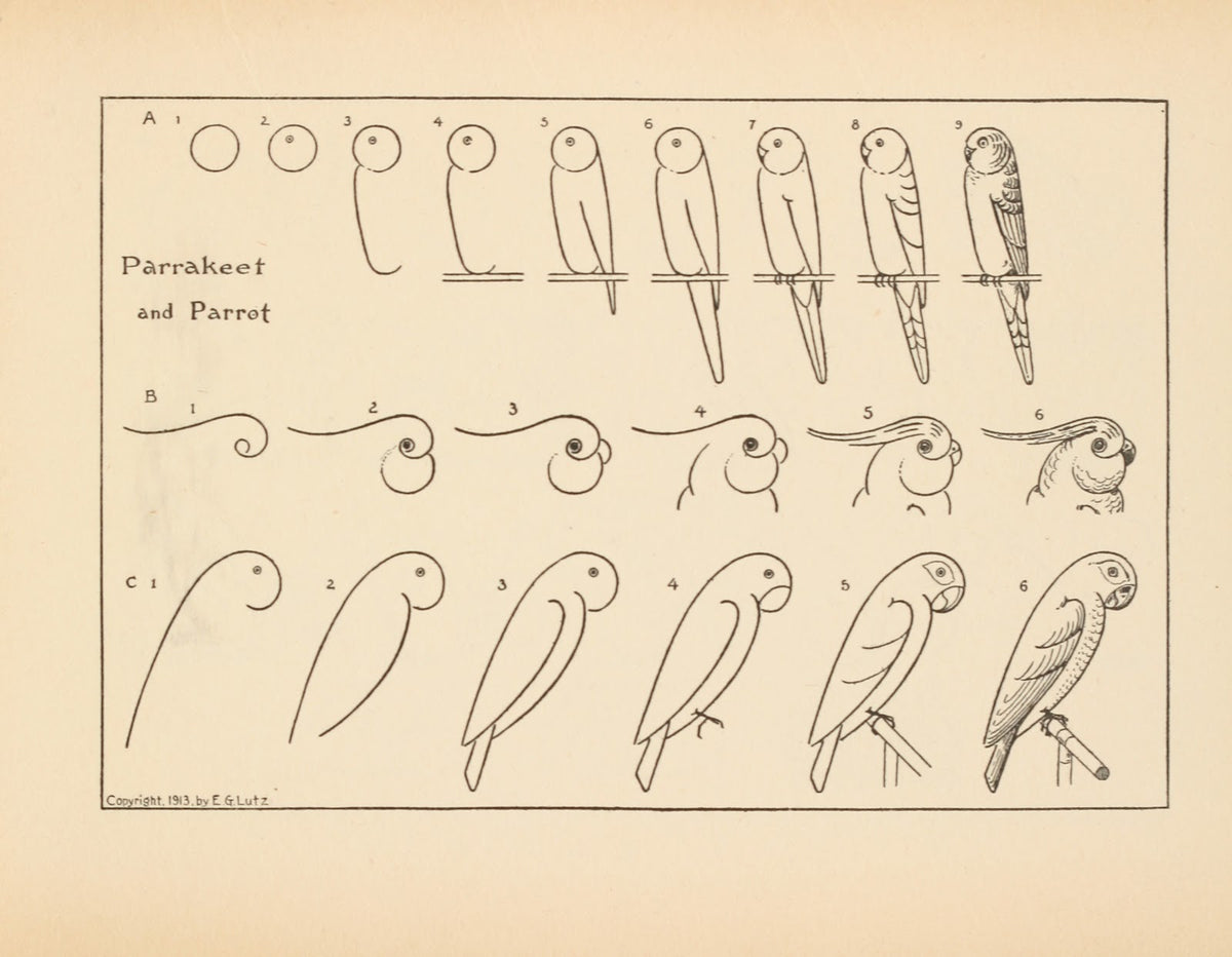 What to draw and how to draw it  Pl35 1913