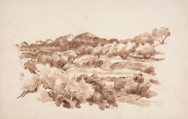 Olive groves in La Ciotat 1936