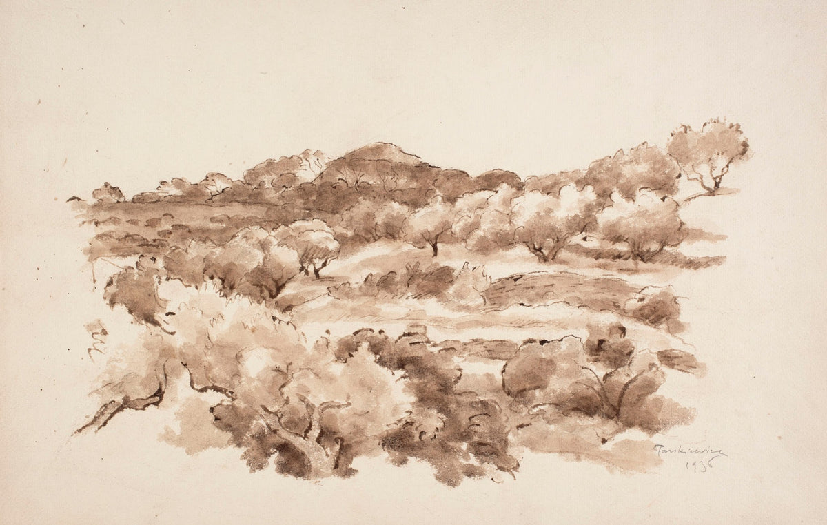 Olive groves in La Ciotat 1936