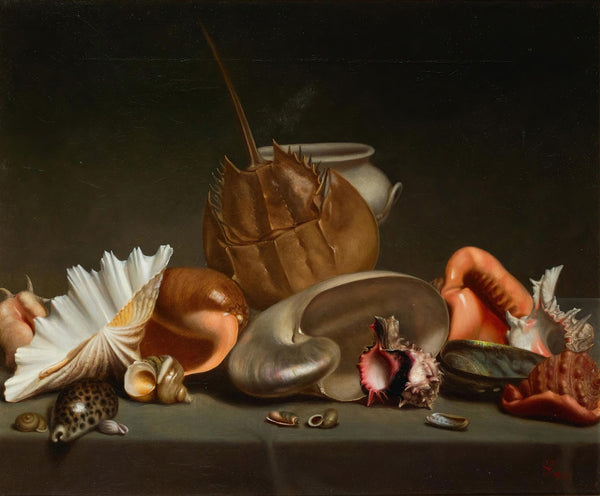 A Still Life With Sea Shells And Molluscs 1875
