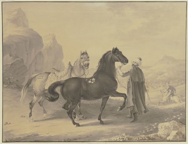 Turkish horses 1796