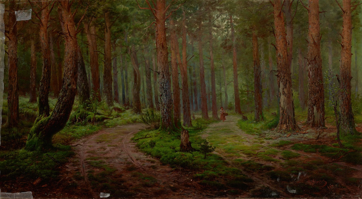 Forest Landscape 1894