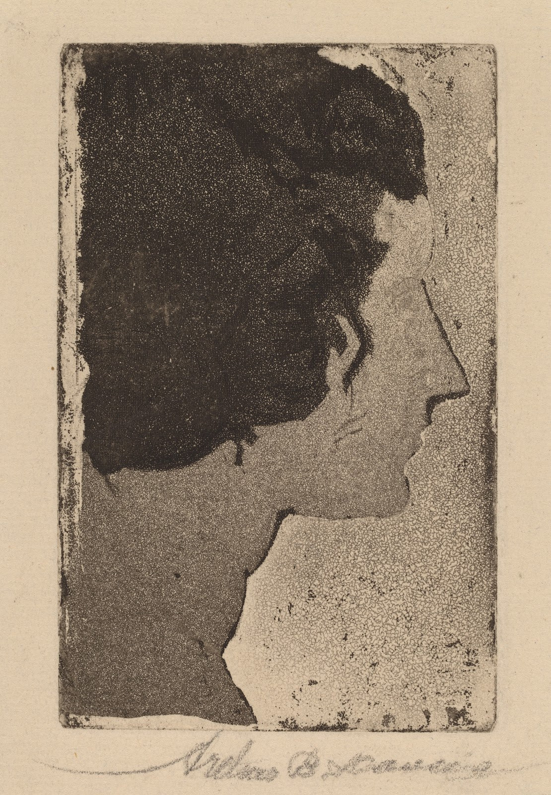 Profile 1919