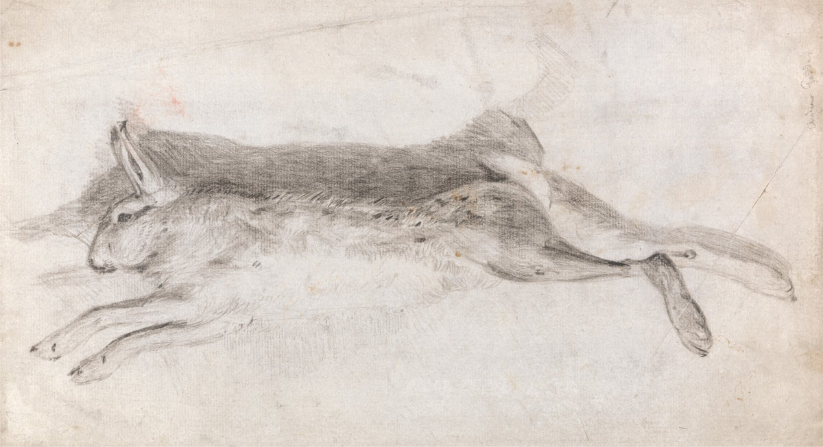Dead Hare