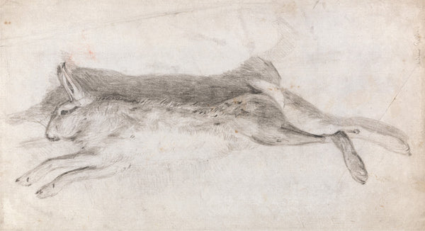 Dead Hare