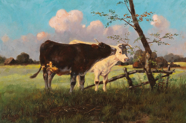 Cows in a Meadow