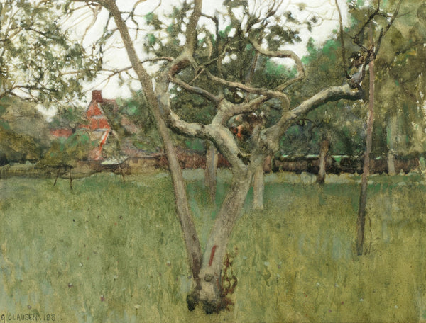 Country garden