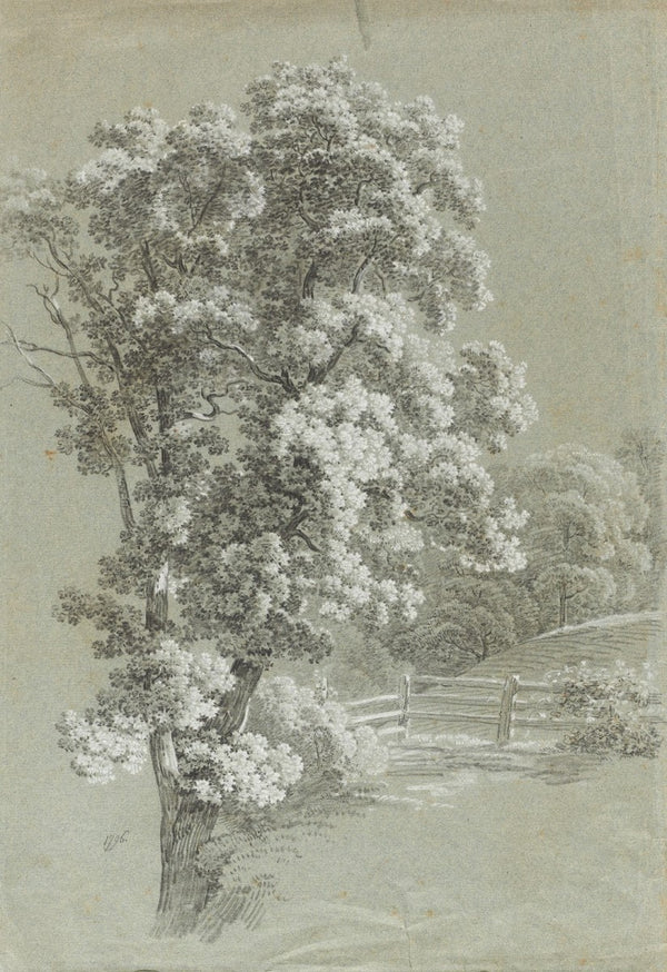 Baumstudie 1796