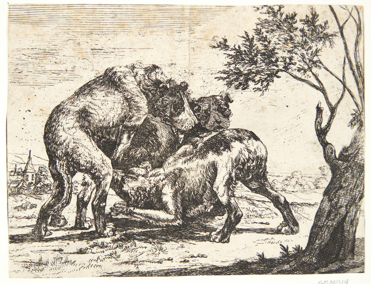 Tre hunde 1654