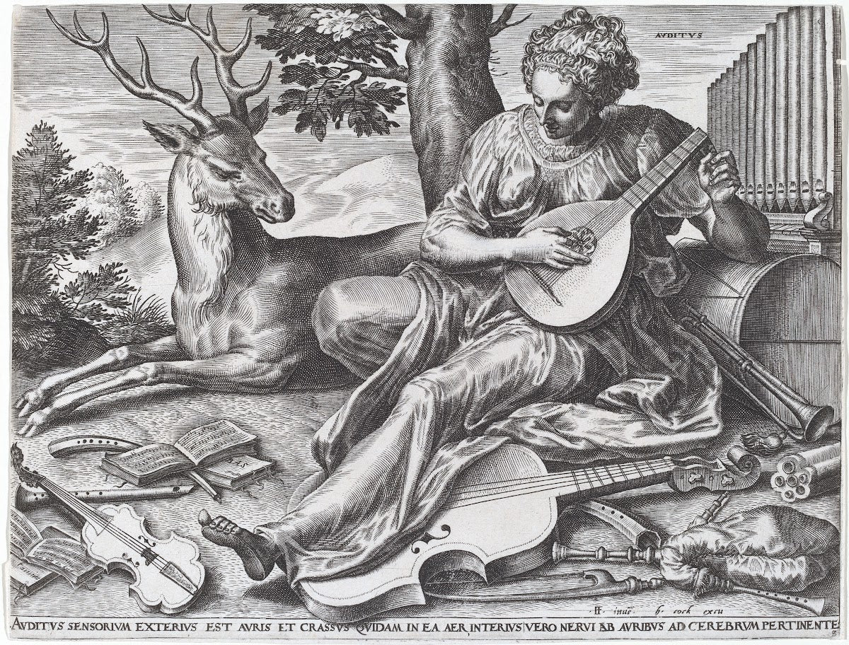 Auditus 1561