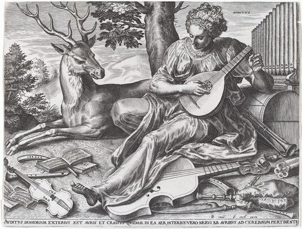 Auditus 1561