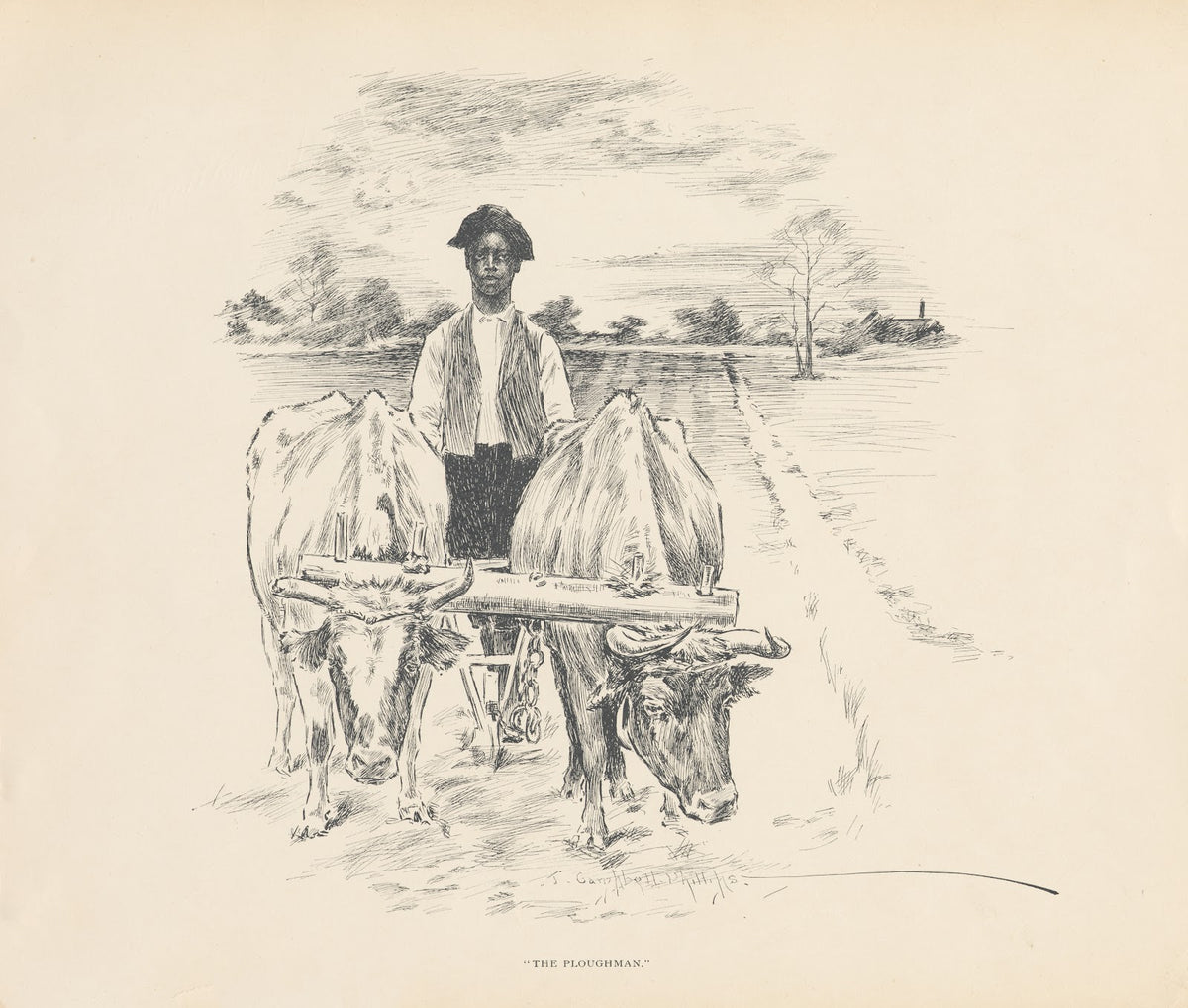 The ploughman 1899