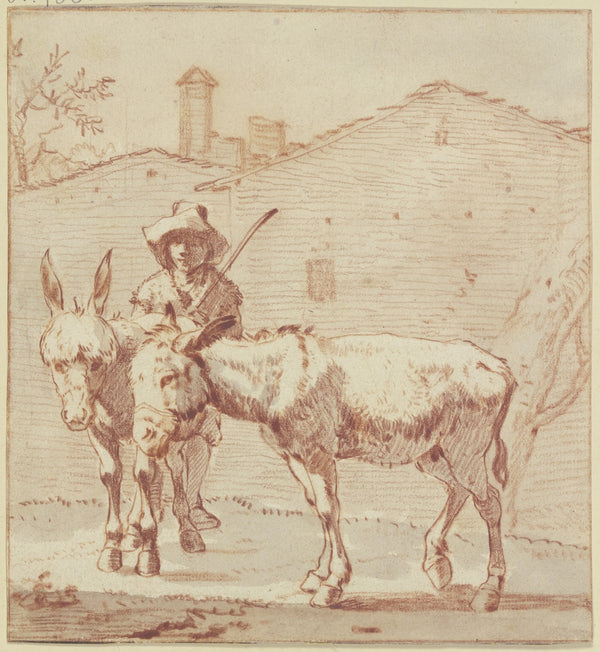 Two donkeys and their driver