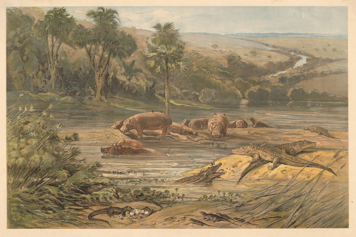 By a river in the interior of Africa 1920
