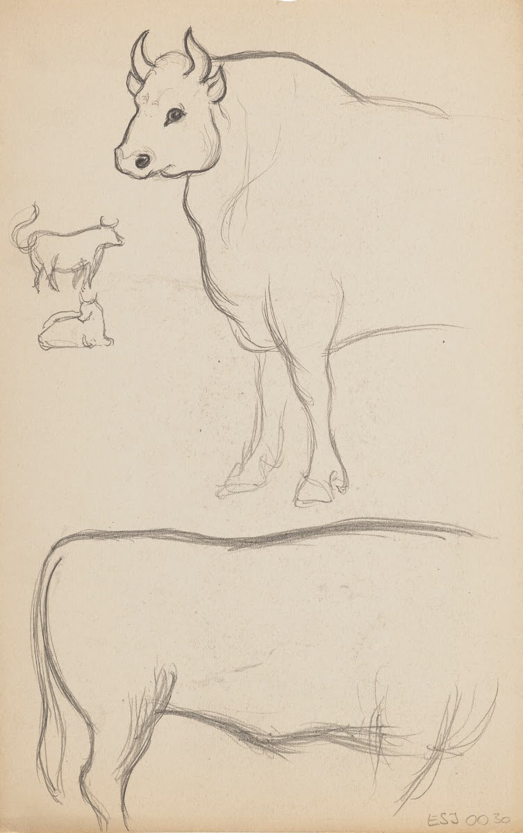 Études danimaux de paysages et de modèles