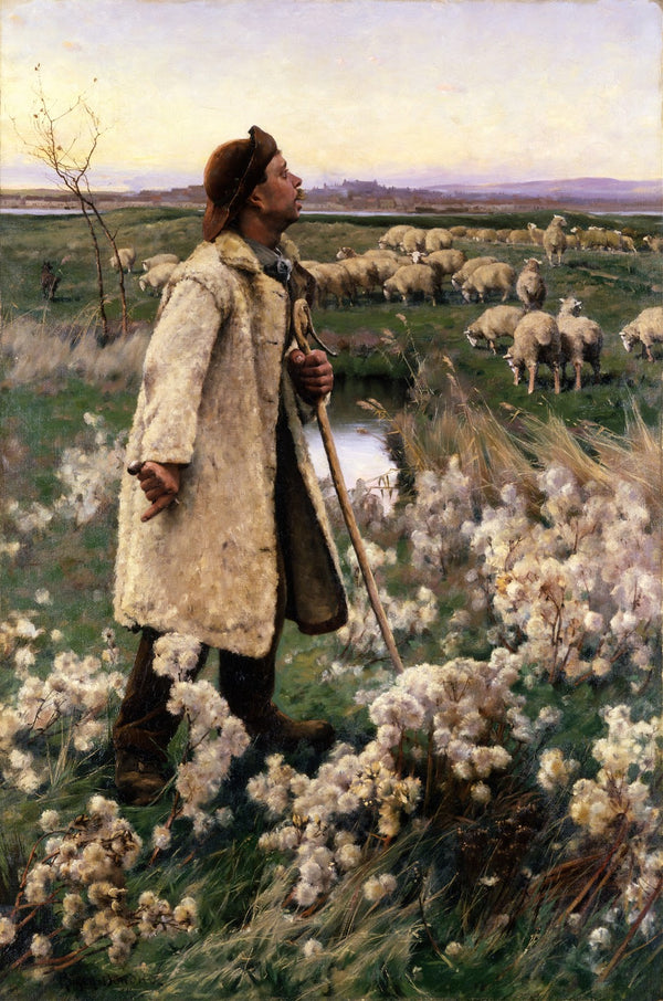 Shepherd 1884