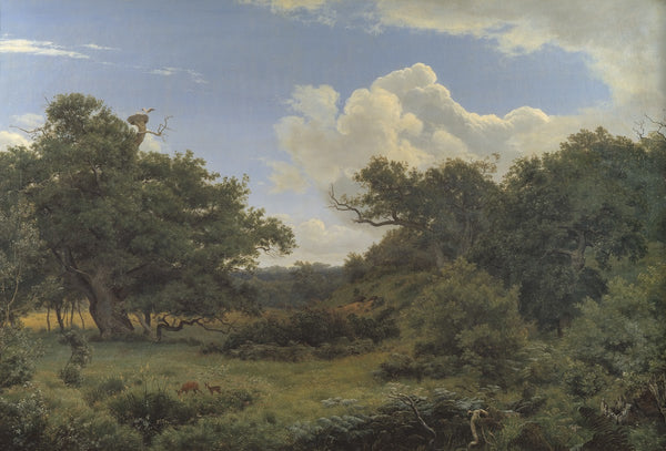 Oak Trees in Nordskoven near Jægerspris Zealand 1842   1843